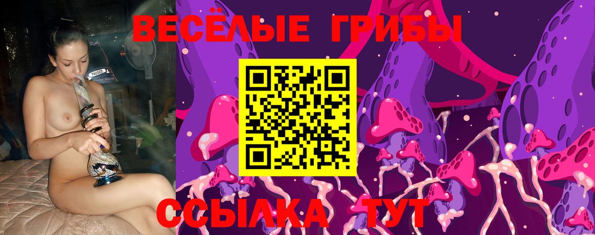 Аргун  Псилоцибиновые грибы мухоморы  Вход с VPN 